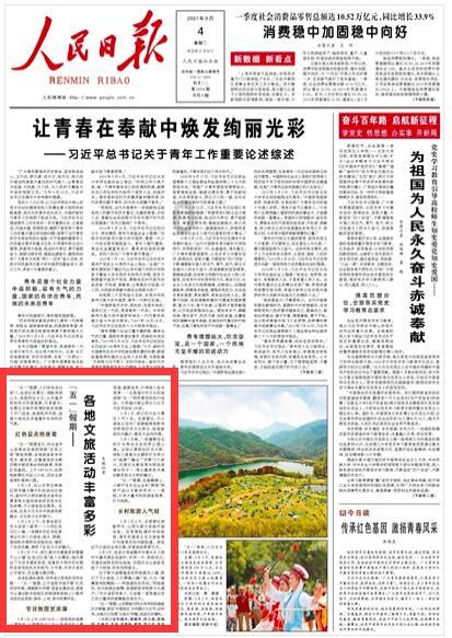 全民烧脑3去广告版