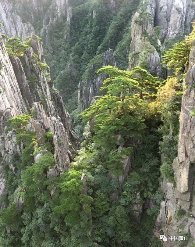 嘉日单词